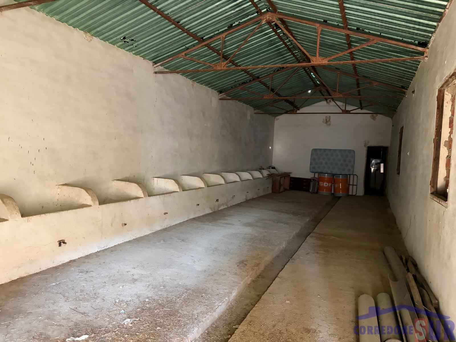 Venta de finca rústica en Córdoba