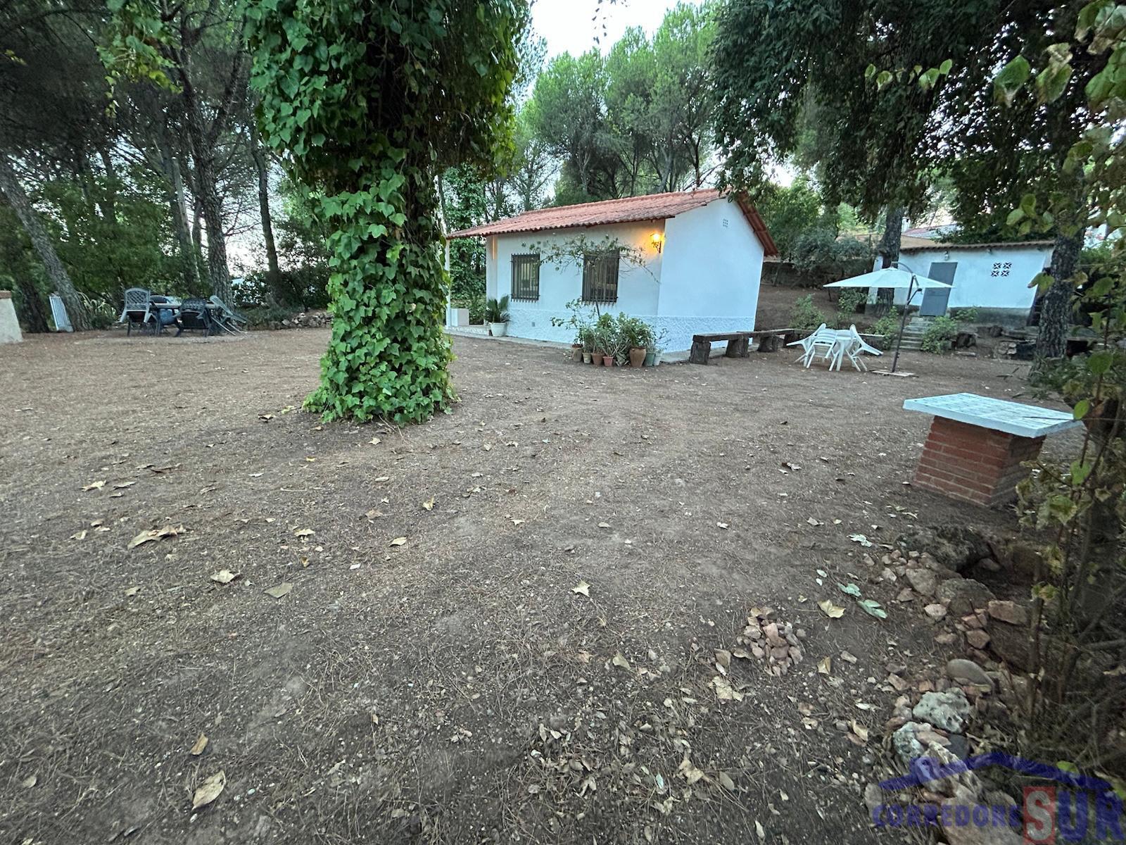 Venta de finca rústica en Córdoba