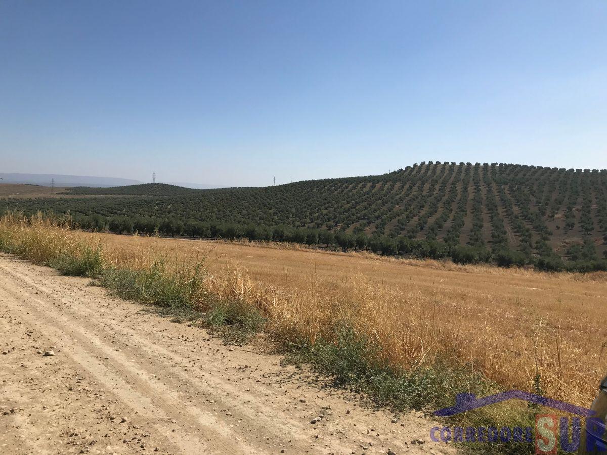 For sale of rural property in Córdoba