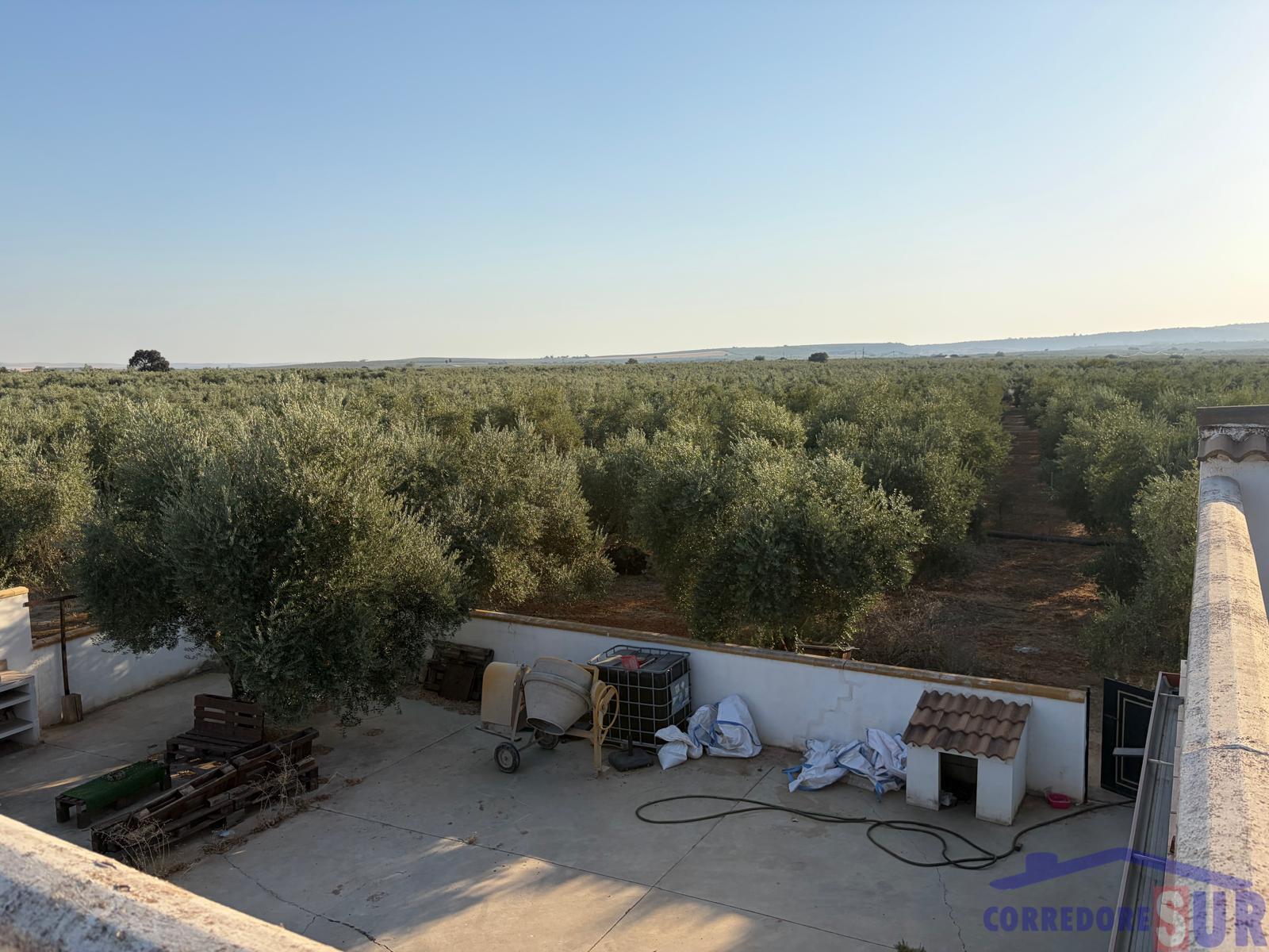 Venta de finca de recreo en Córdoba
