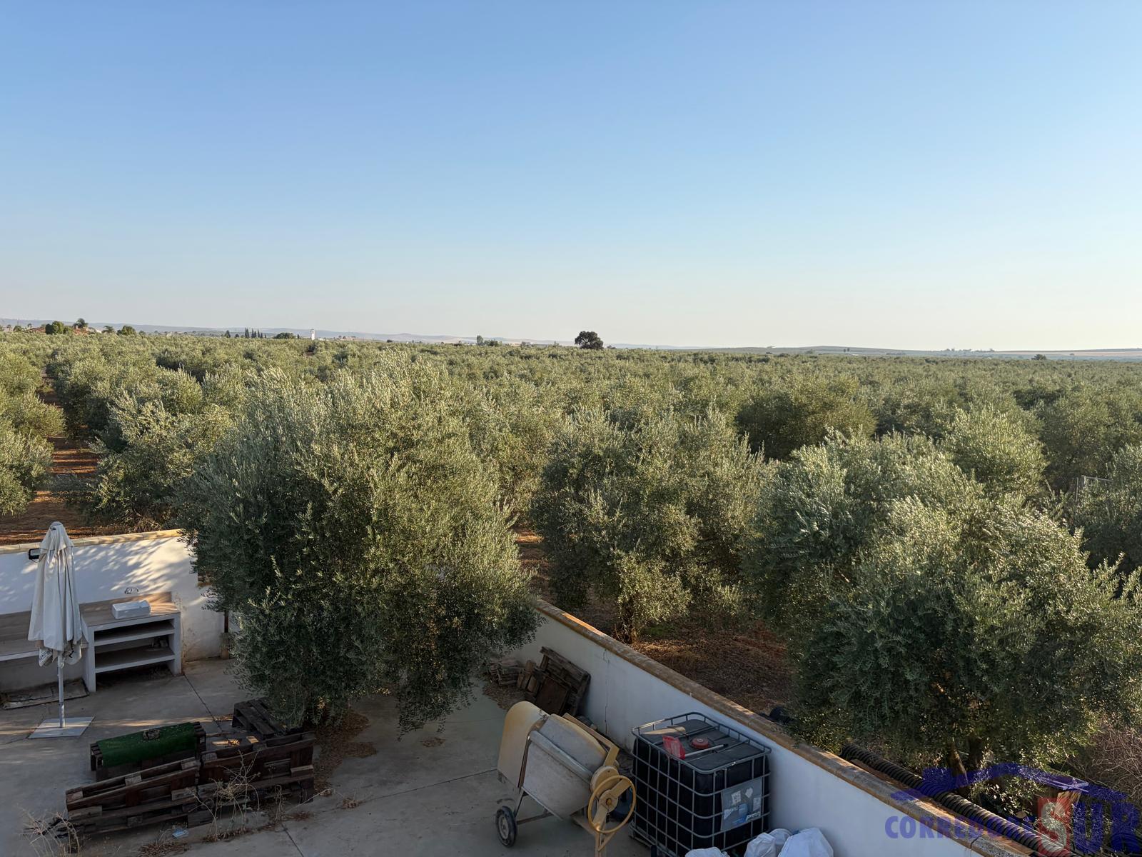 Venta de finca de recreo en Córdoba