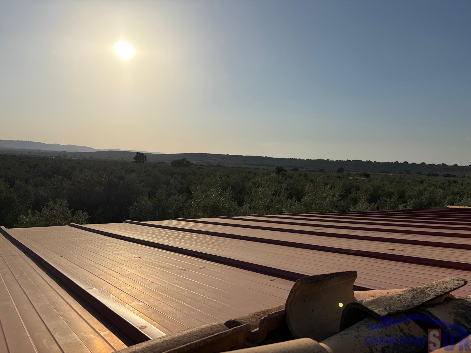 Venta de finca de recreo en Córdoba
