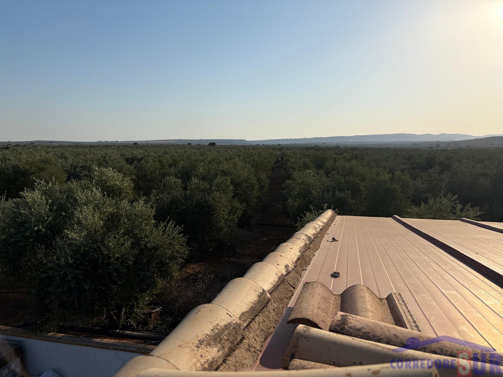 Venta de finca de recreo en Córdoba