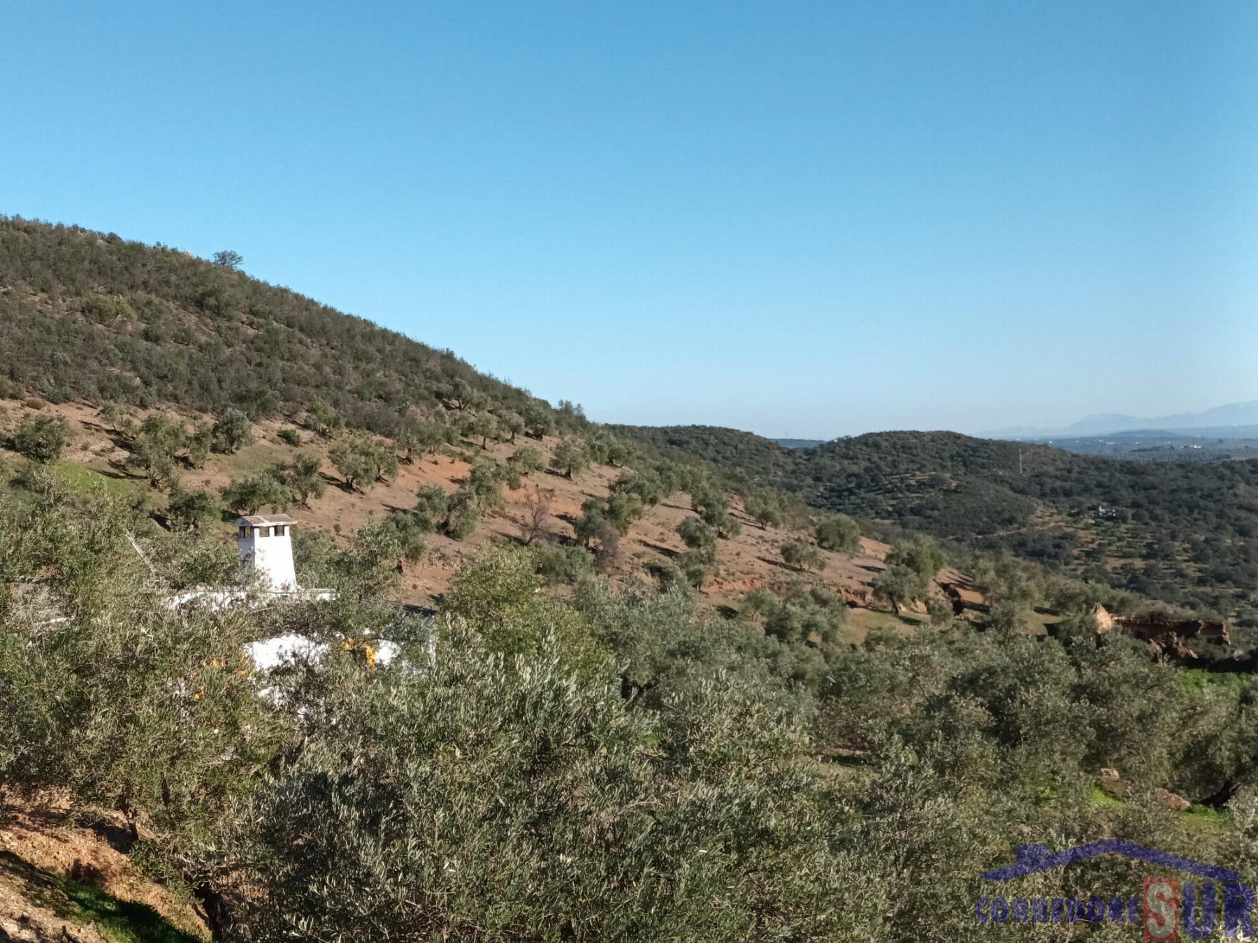Venta de finca rústica en Córdoba