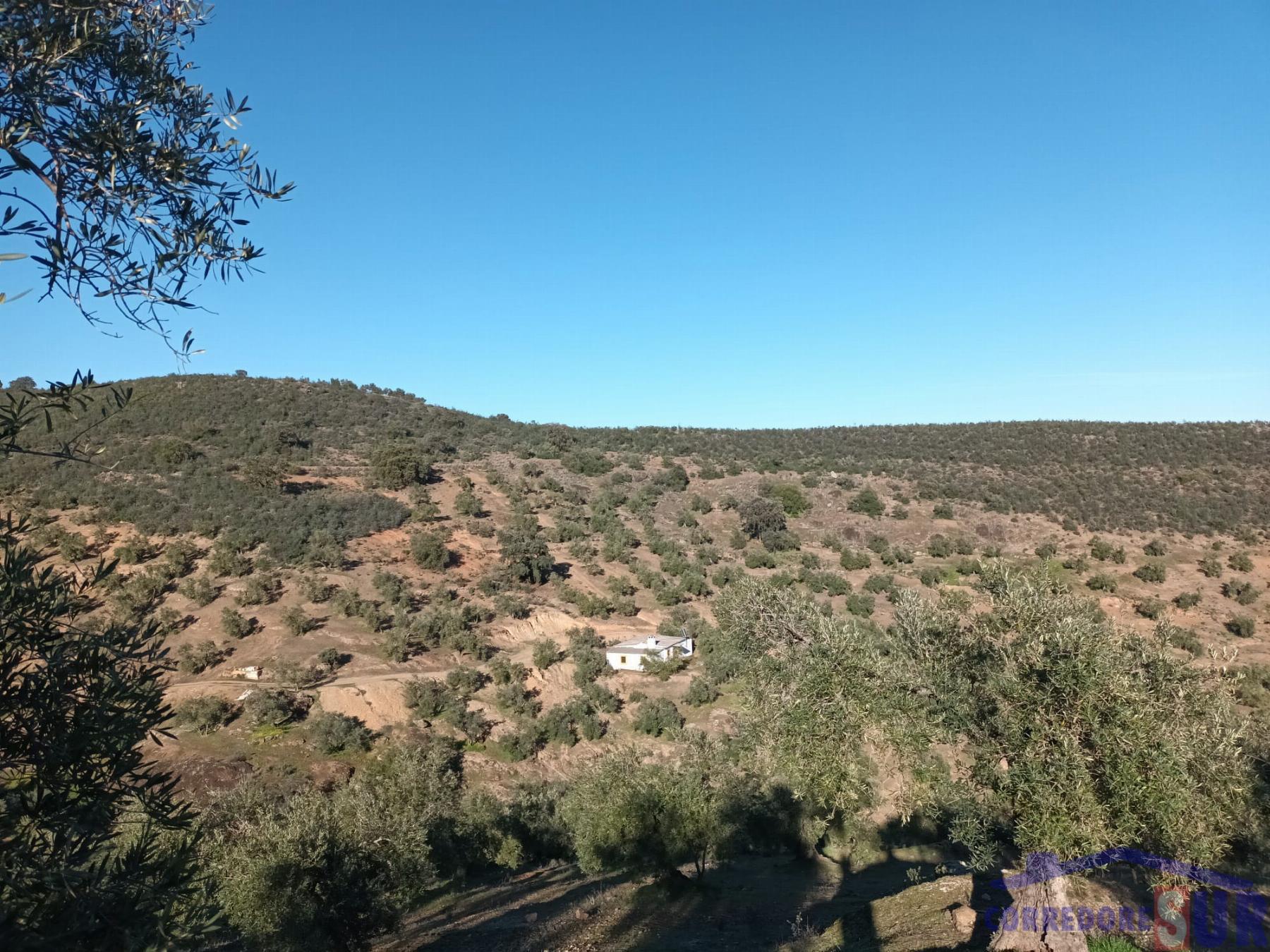 Venta de finca rústica en Córdoba