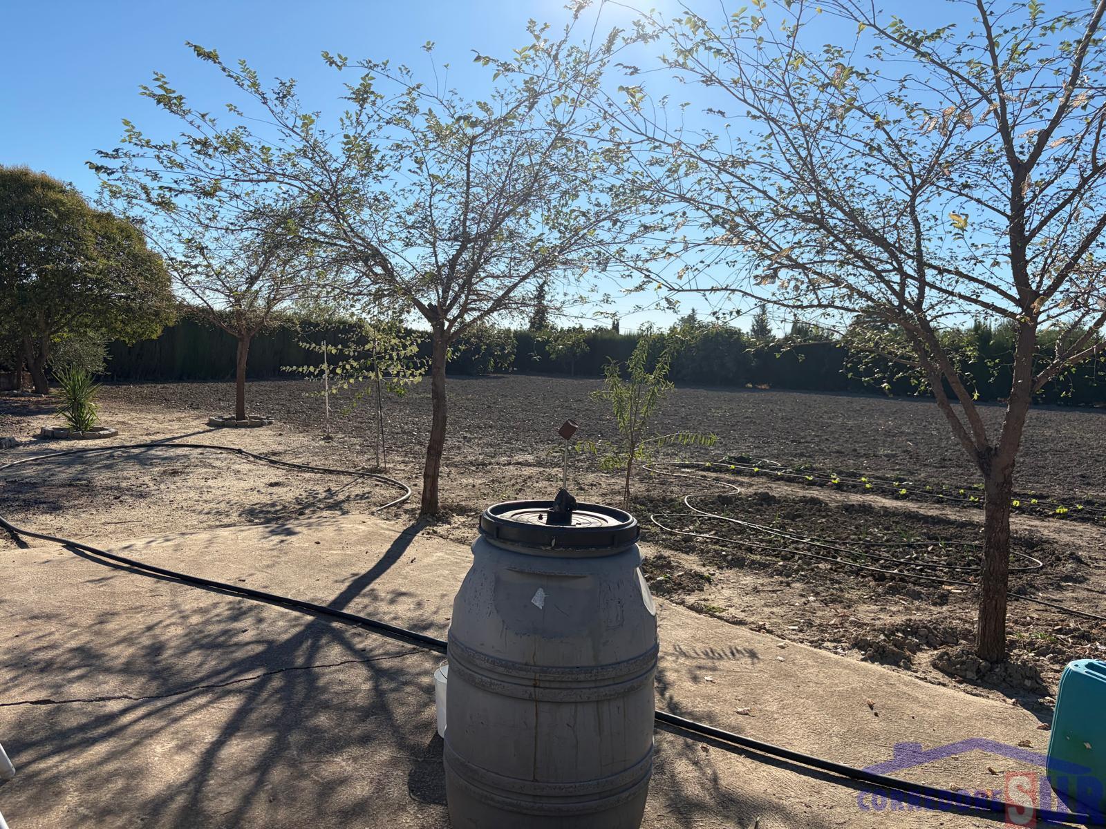 Venta de finca rústica en Córdoba