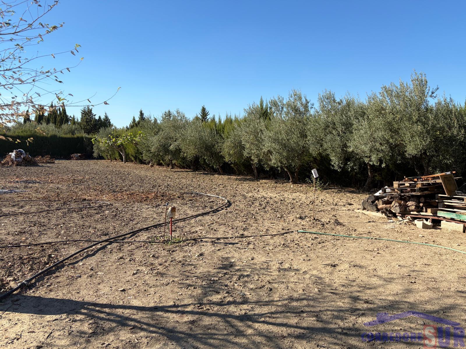 Venta de finca rústica en Córdoba