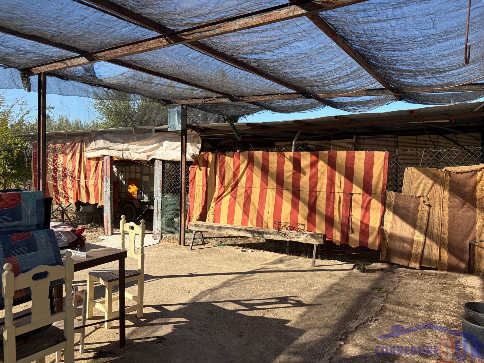 Venta de finca rústica en Córdoba