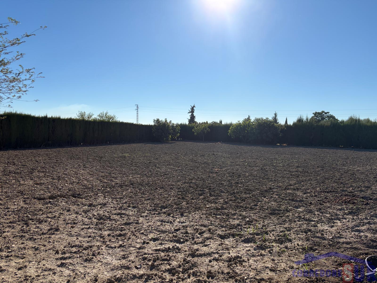 Venta de finca rústica en Córdoba