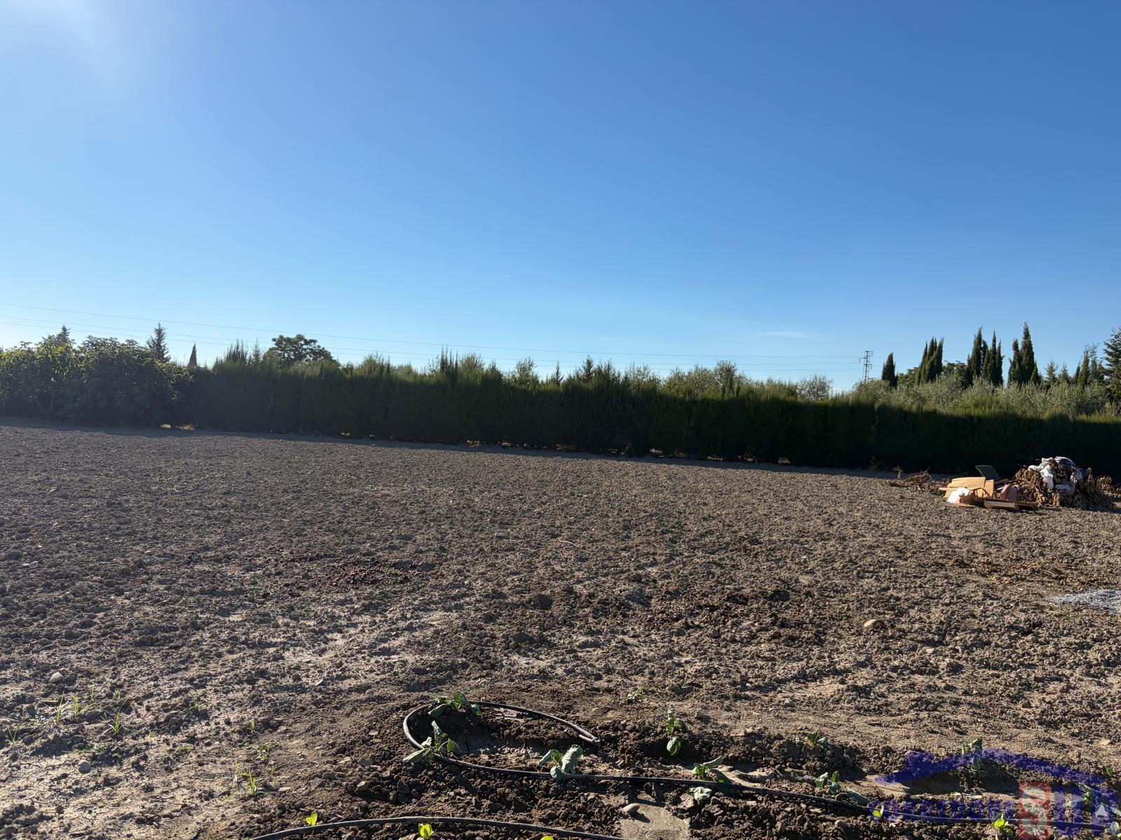 Venta de finca rústica en Córdoba