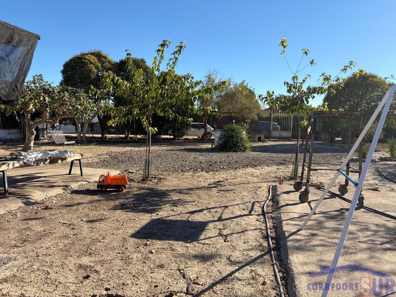 Venta de finca rústica en Córdoba