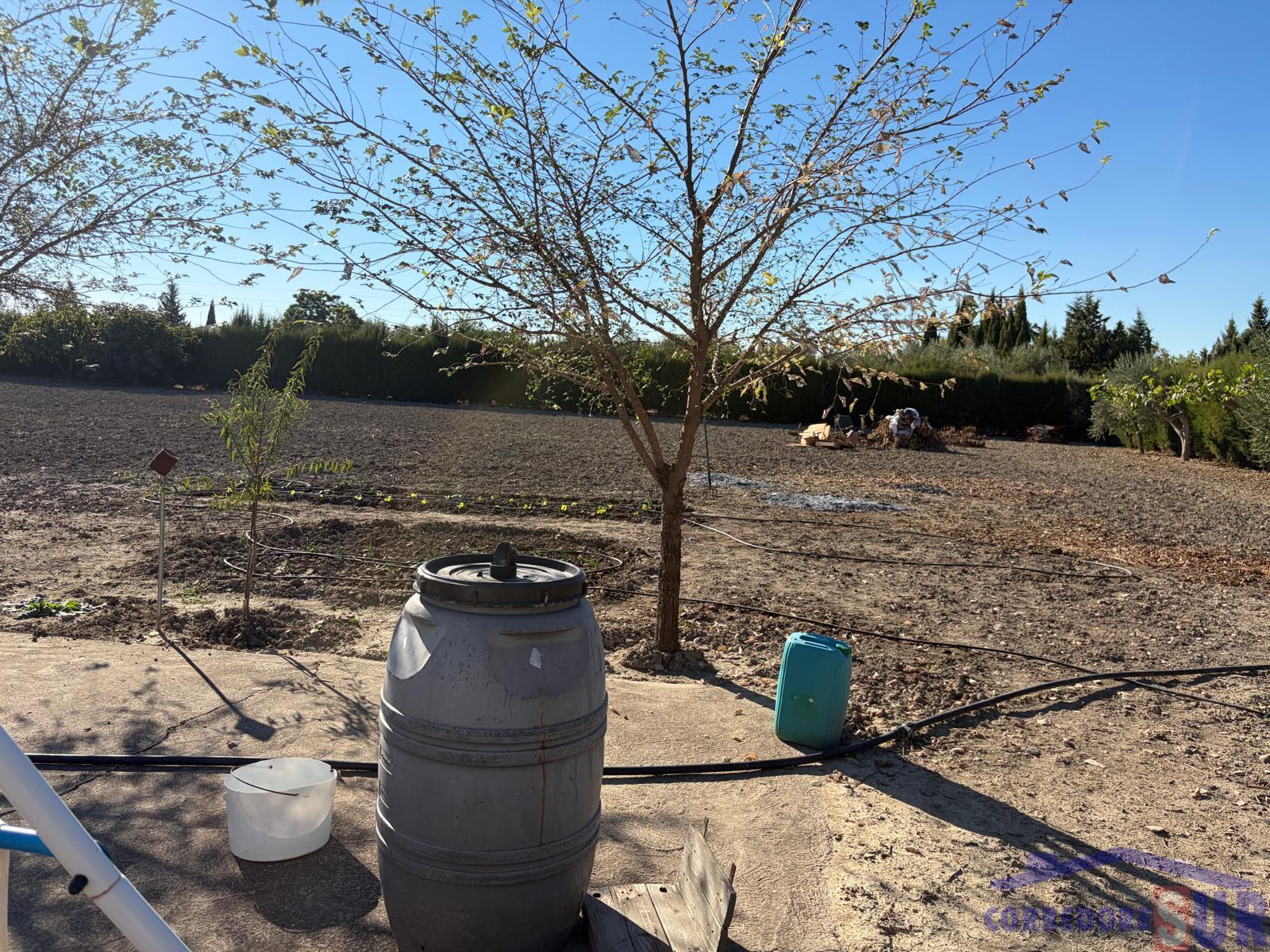 Venta de finca rústica en Córdoba