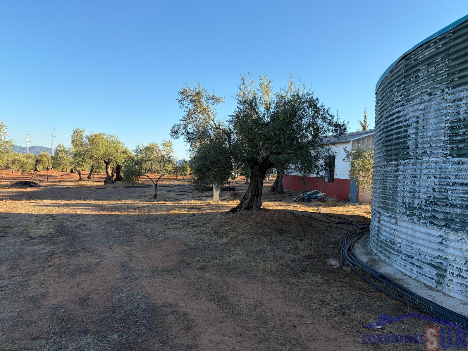 Venta de finca rústica en Córdoba