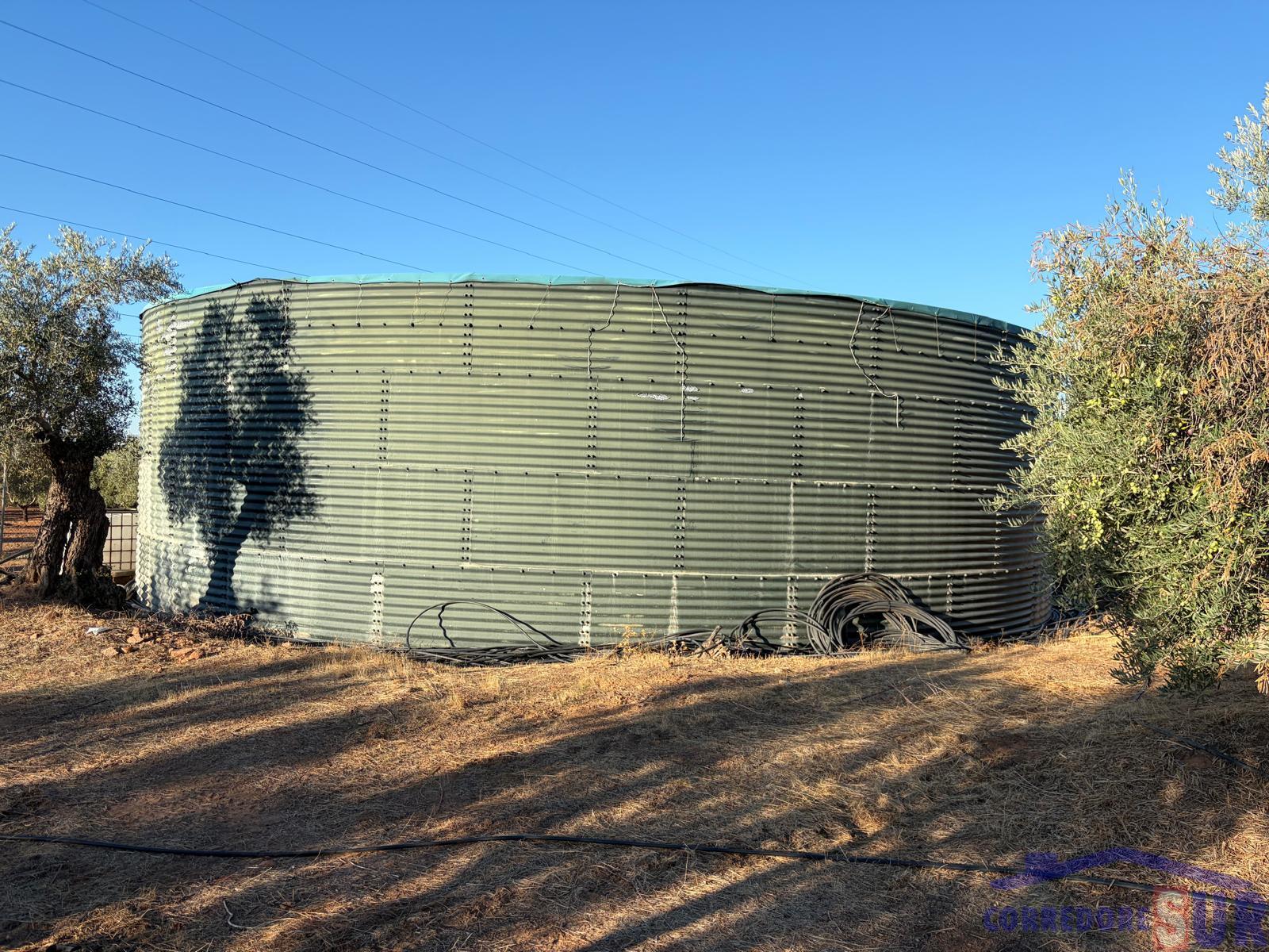 Venta de finca rústica en Córdoba