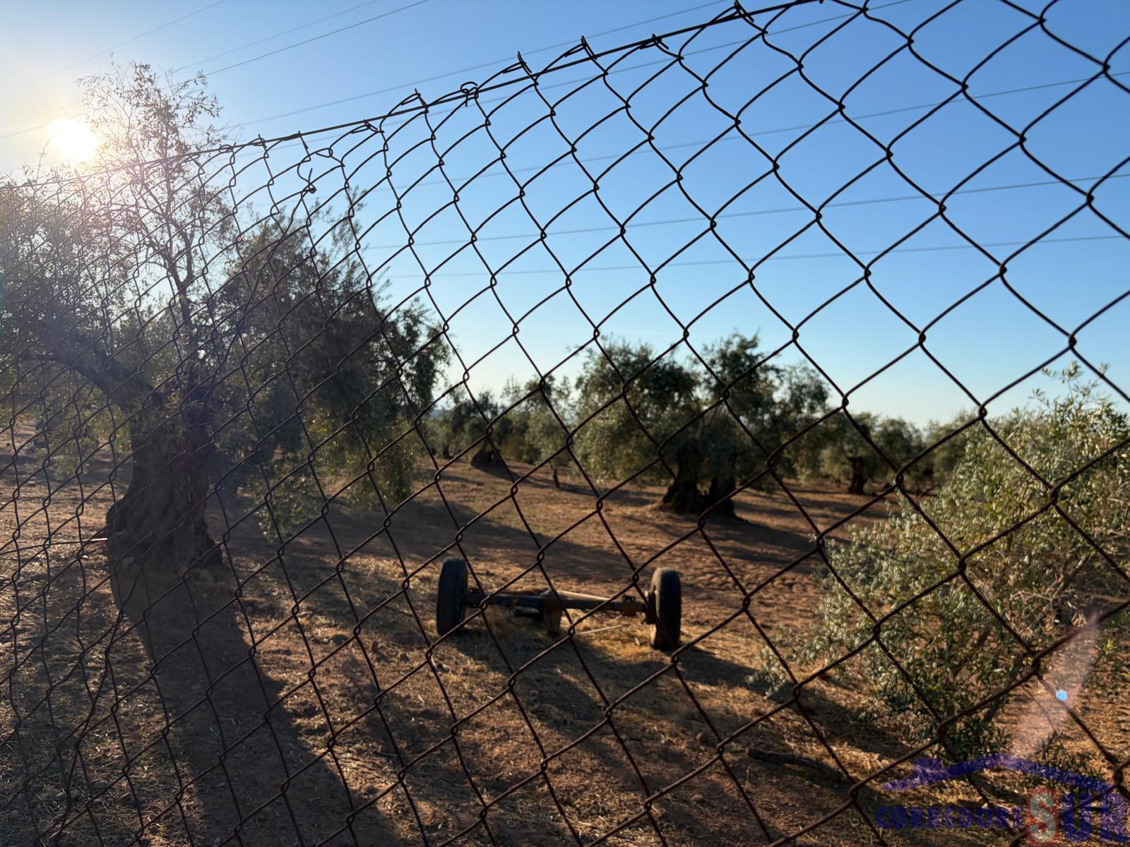 Venta de finca rústica en Córdoba