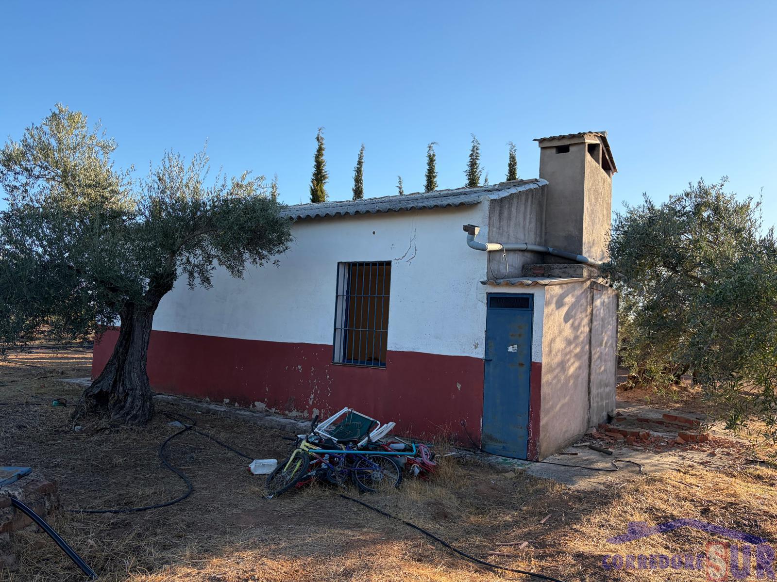 Venta de finca rústica en Córdoba