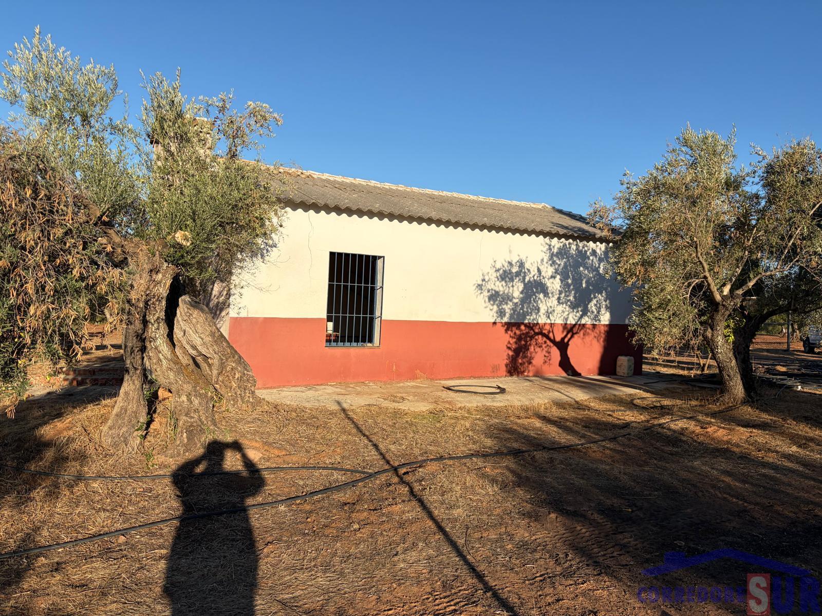 Venta de finca rústica en Córdoba