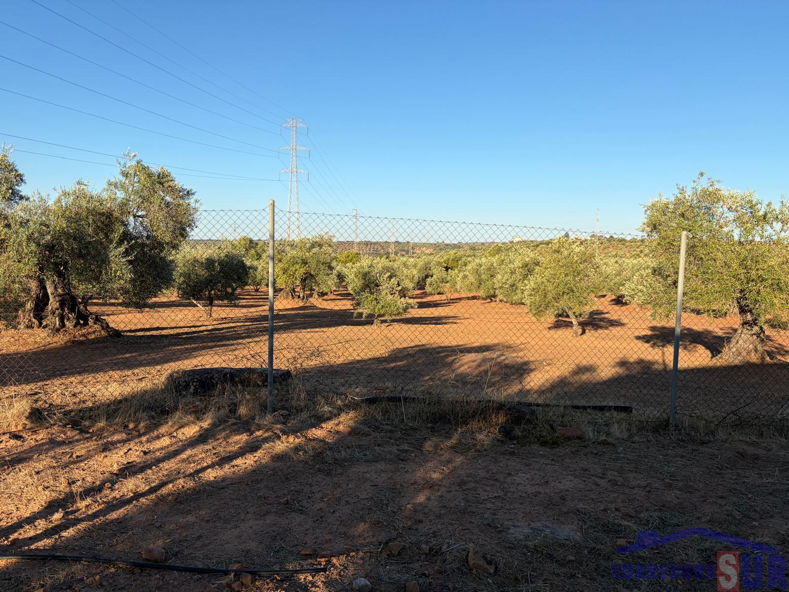 Venta de finca rústica en Córdoba