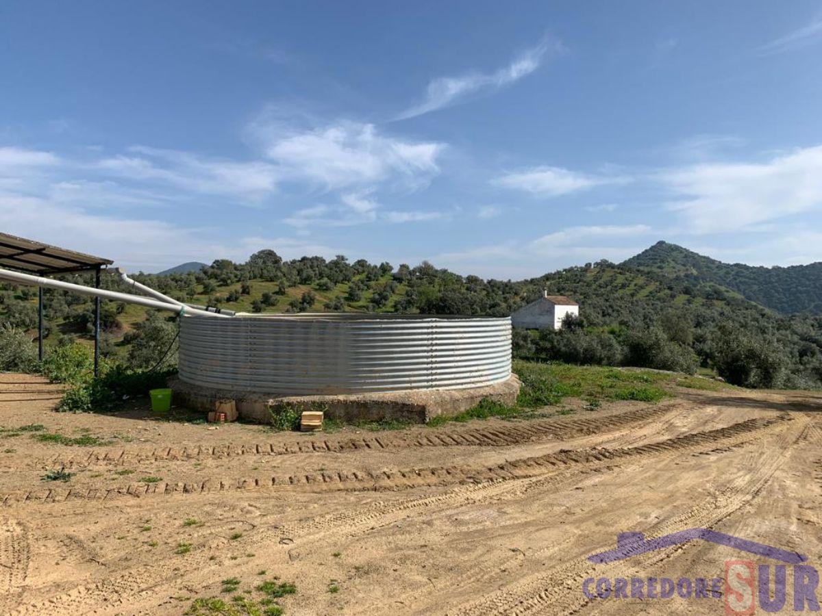 For sale of rural property in Córdoba