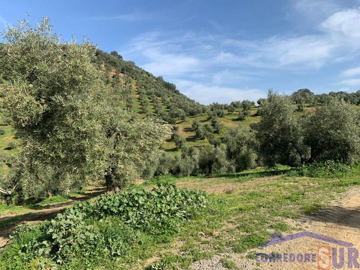 For sale of rural property in Córdoba