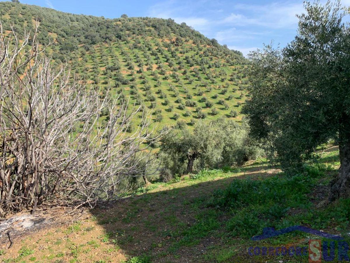 Venta de finca rústica en Córdoba