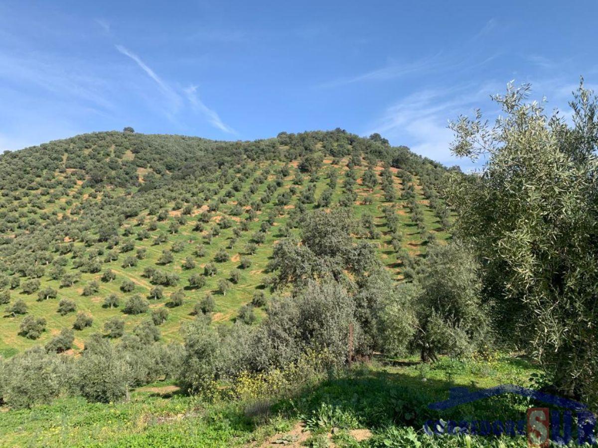 Venta de finca rústica en Córdoba