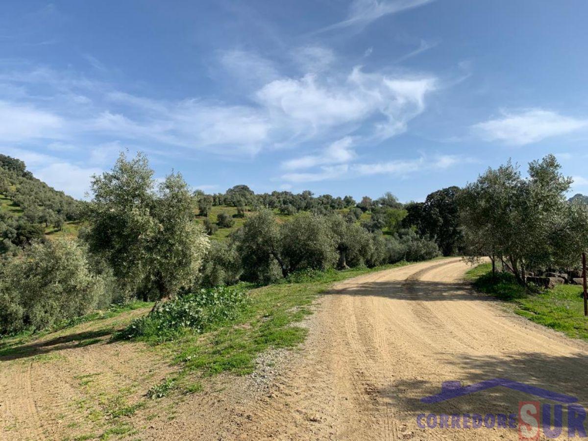 Venta de finca rústica en Córdoba