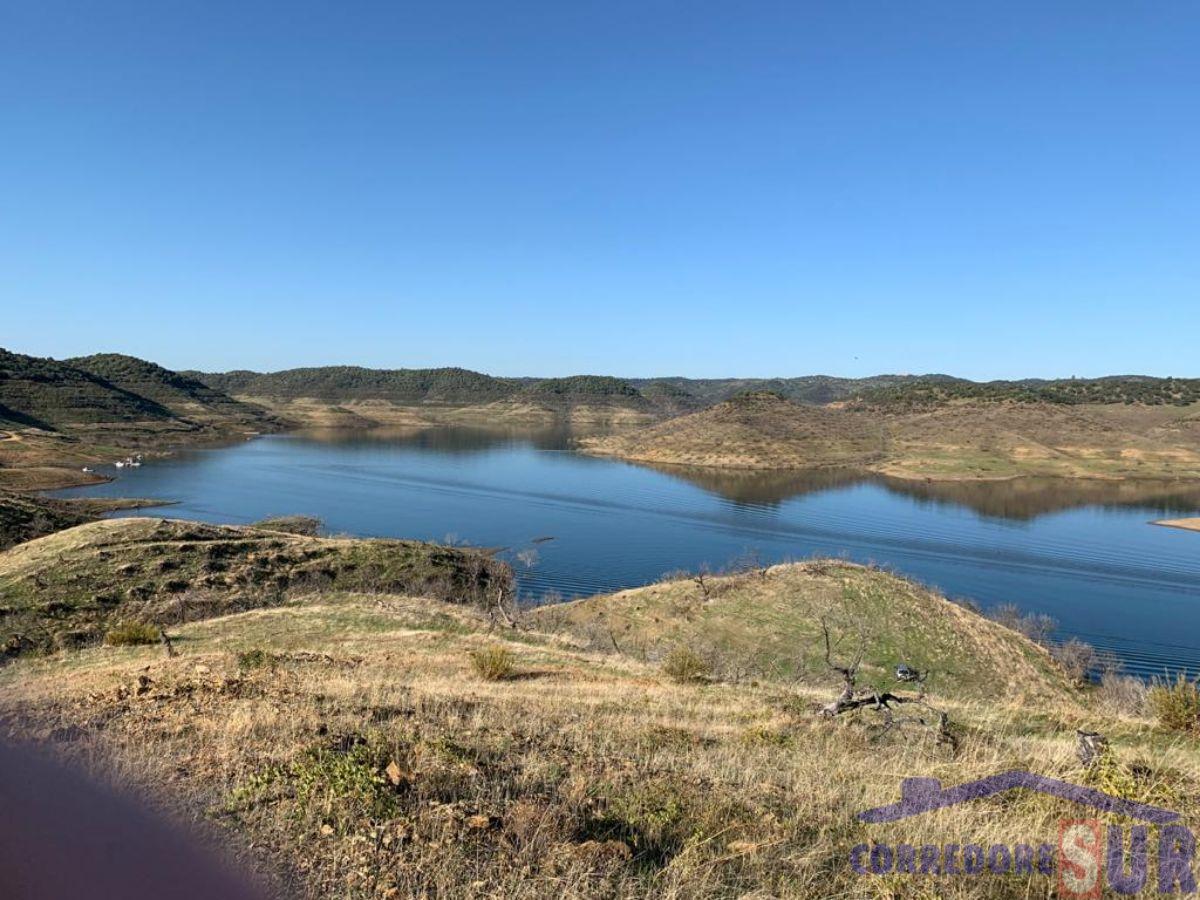 Venta de finca rústica en Almodóvar del Río