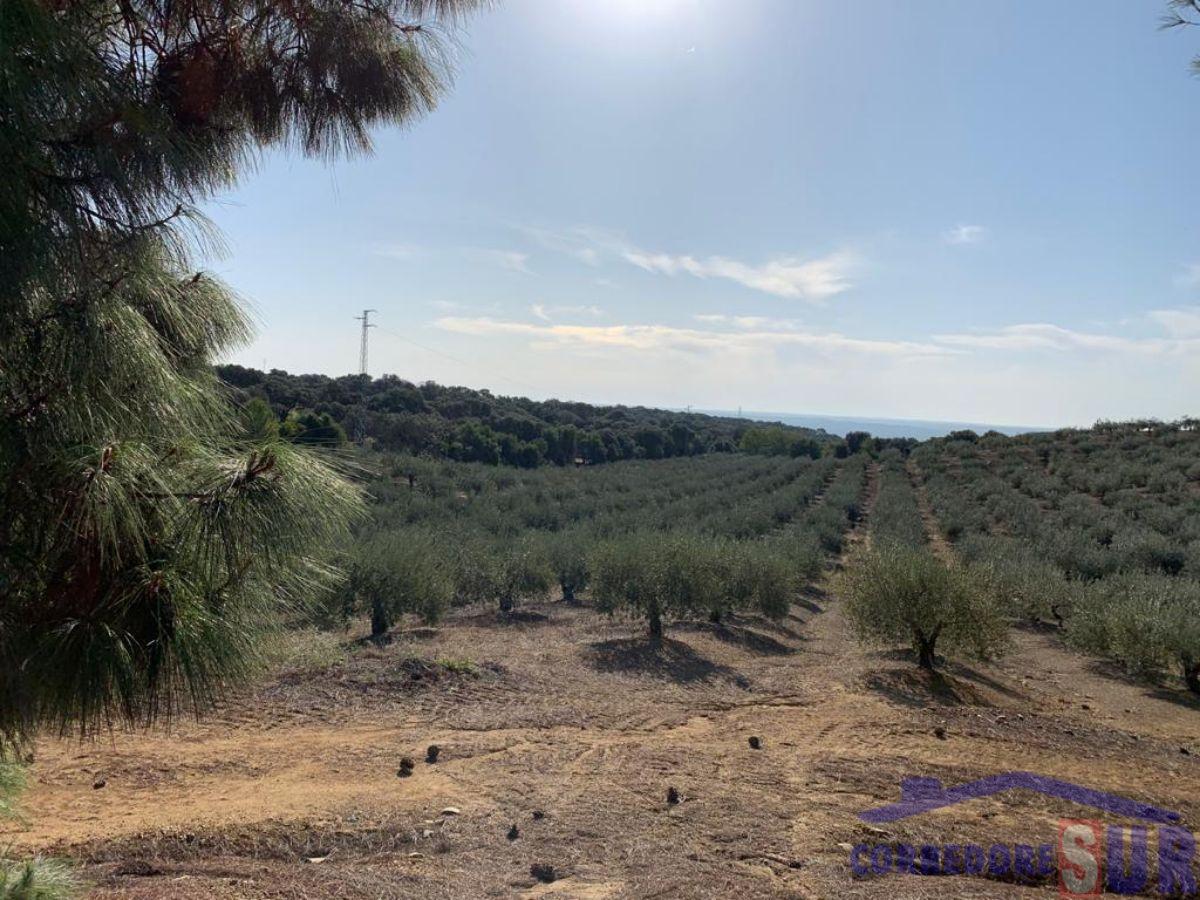 For sale of rural property in Almodóvar del Río