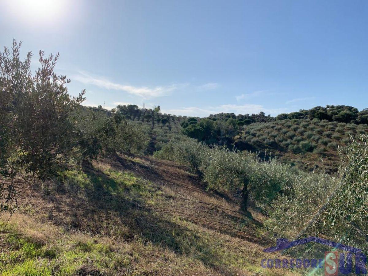 For sale of rural property in Almodóvar del Río