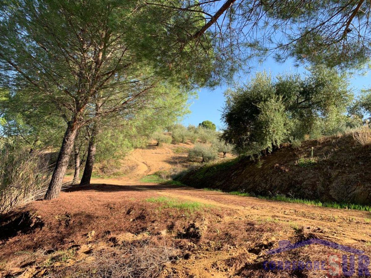 For sale of rural property in Almodóvar del Río