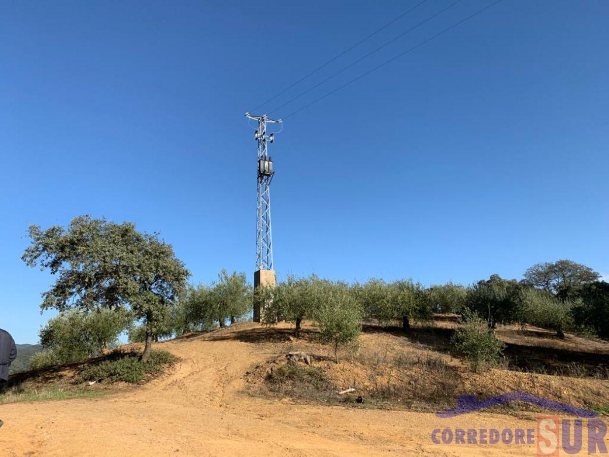 For sale of rural property in Almodóvar del Río