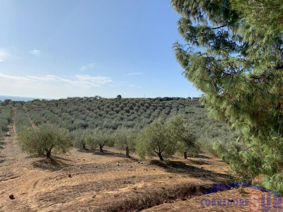 For sale of rural property in Almodóvar del Río