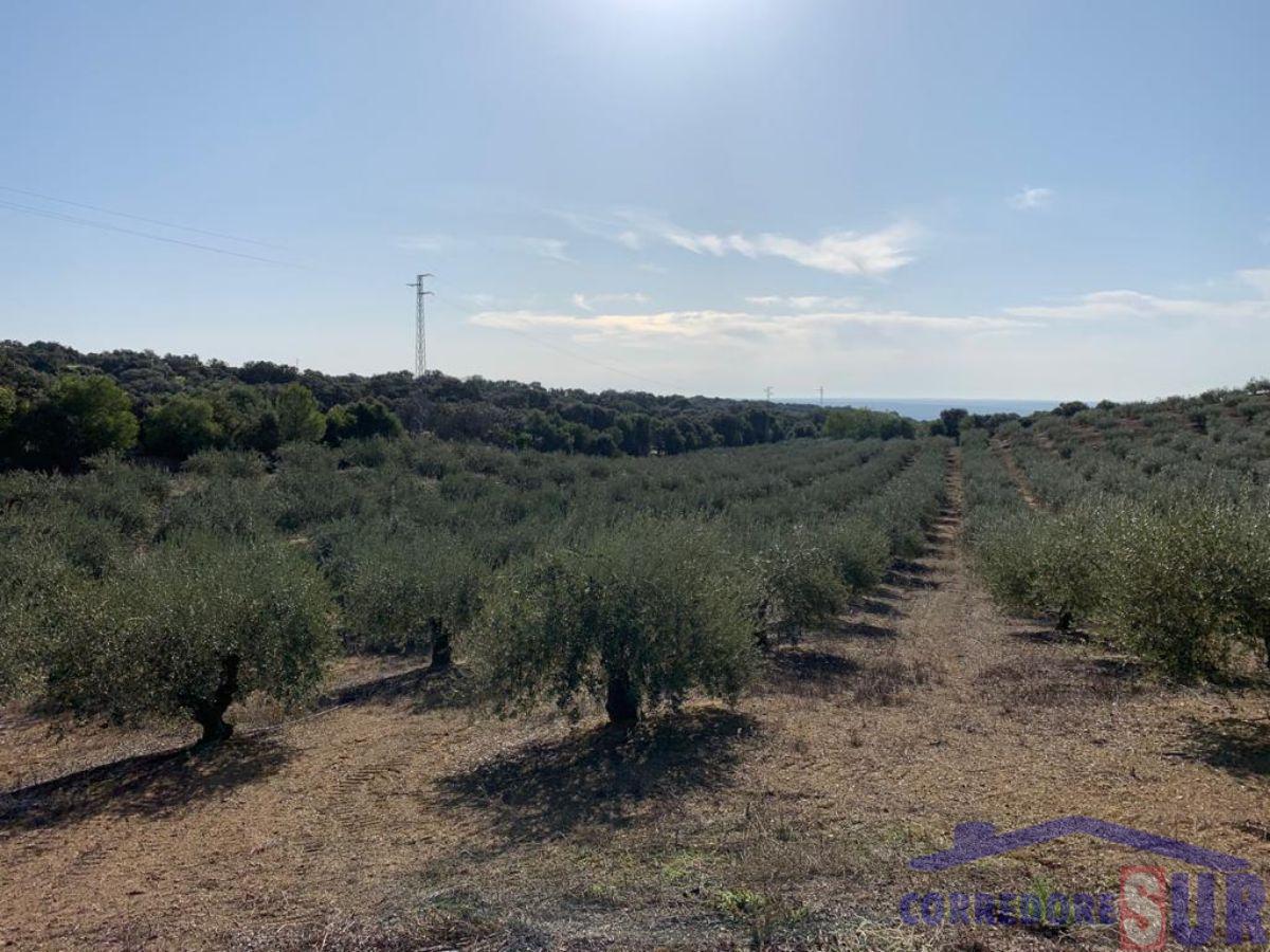 For sale of rural property in Almodóvar del Río