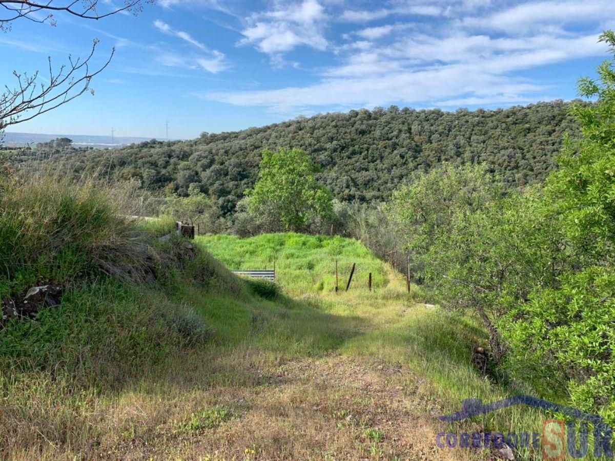 For sale of rural property in Córdoba