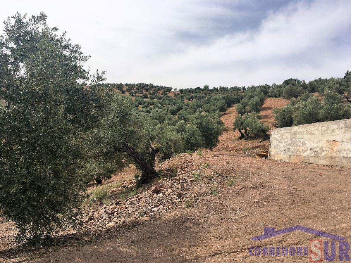 For sale of rural property in Montoro