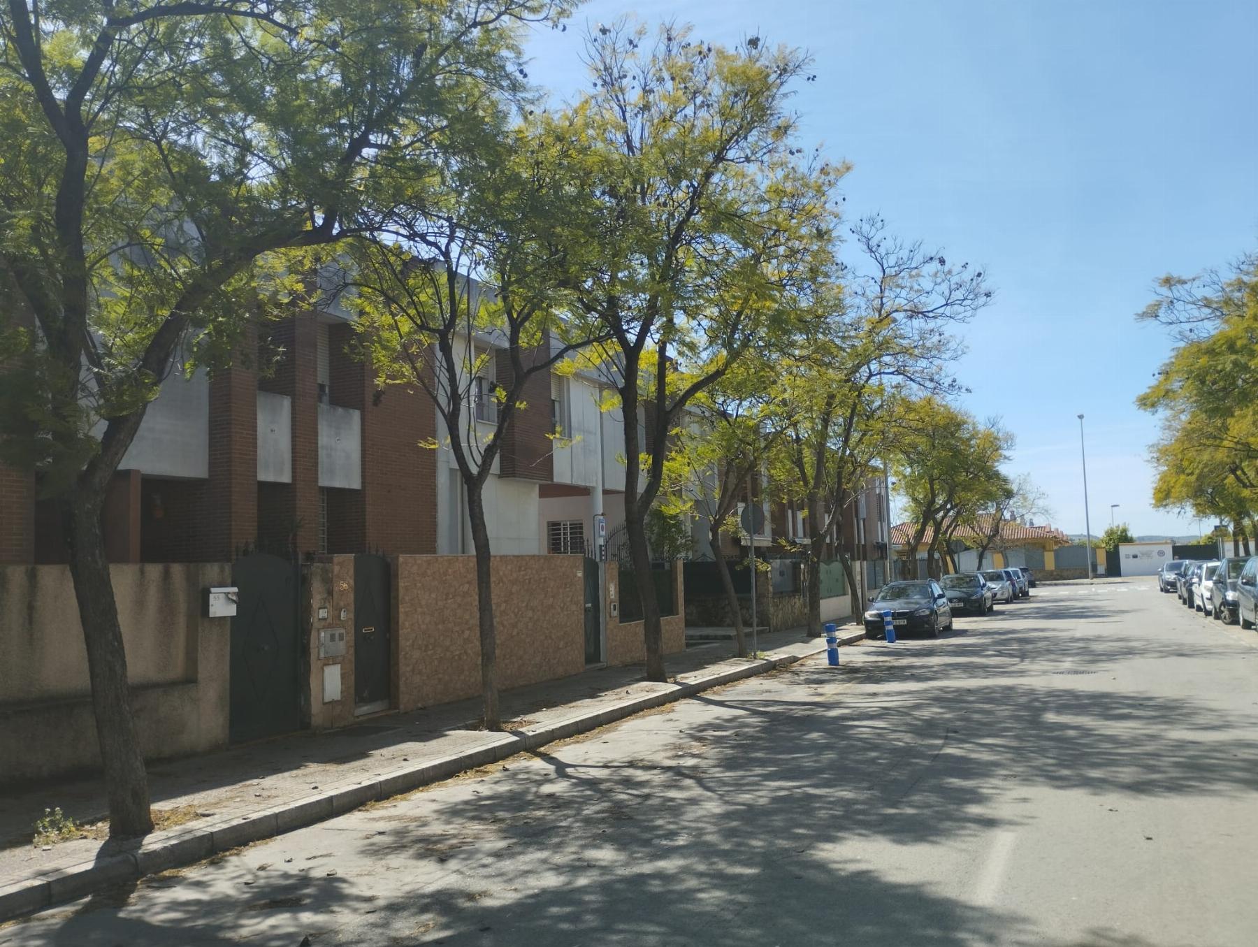 For sale of house in Jerez de la Frontera