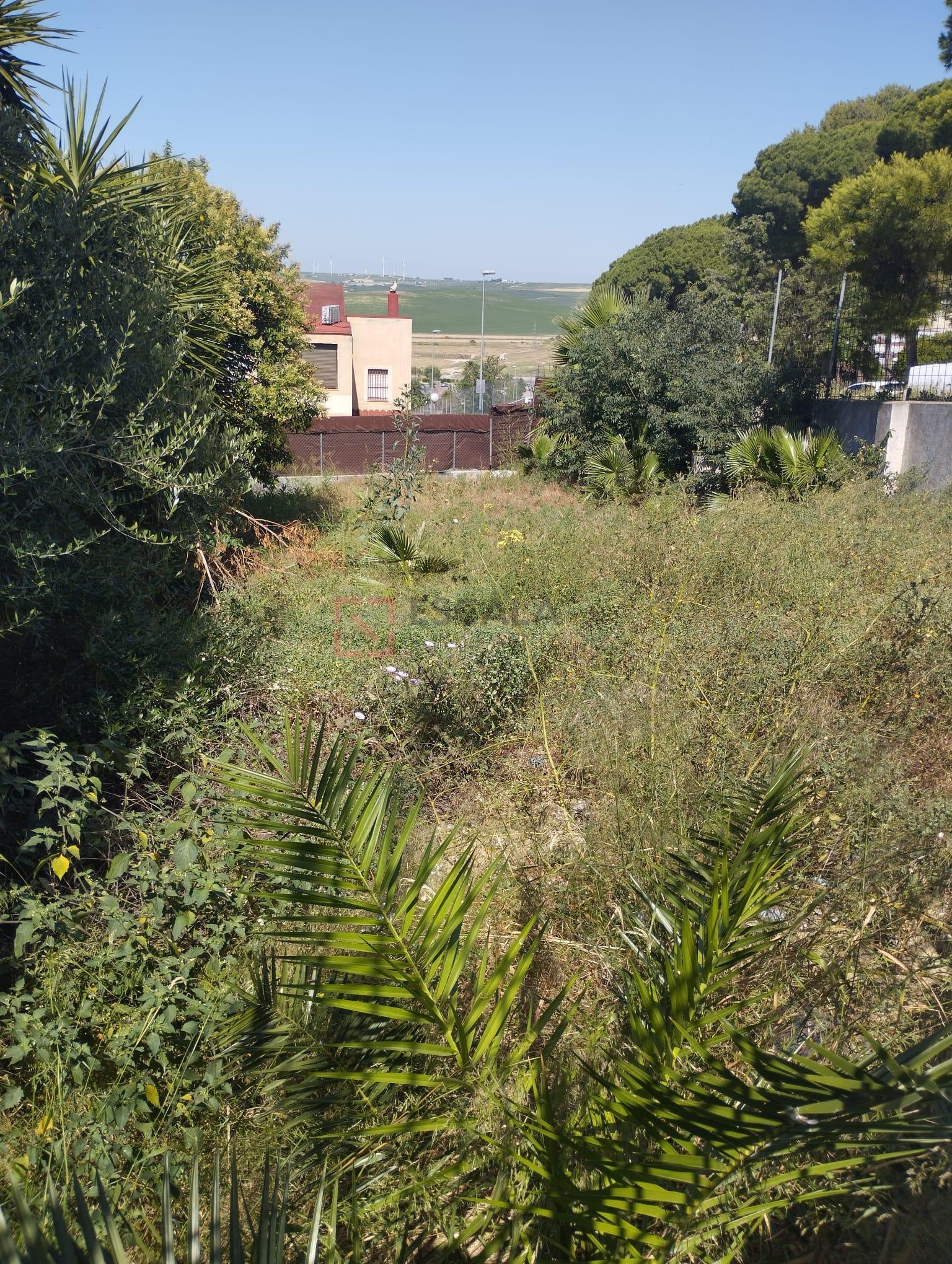 Venta de terreno en Jerez de la Frontera
