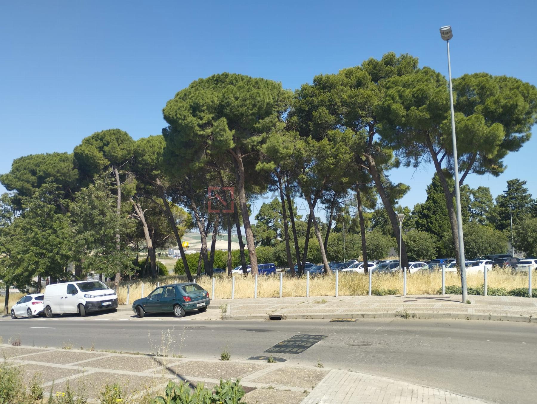 Venta de terreno en Jerez de la Frontera