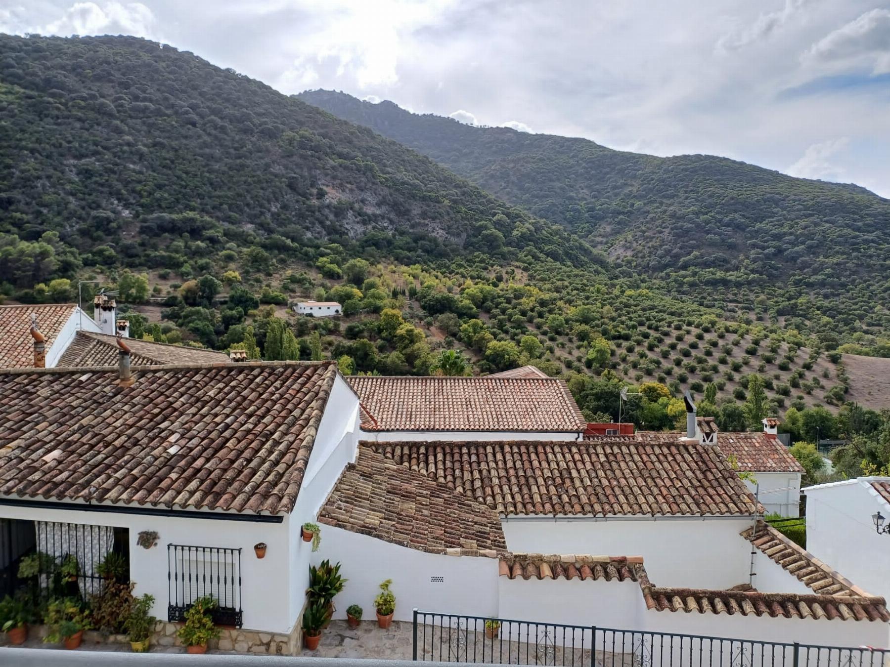 Casa en venta en Benamahoma , Grazalema