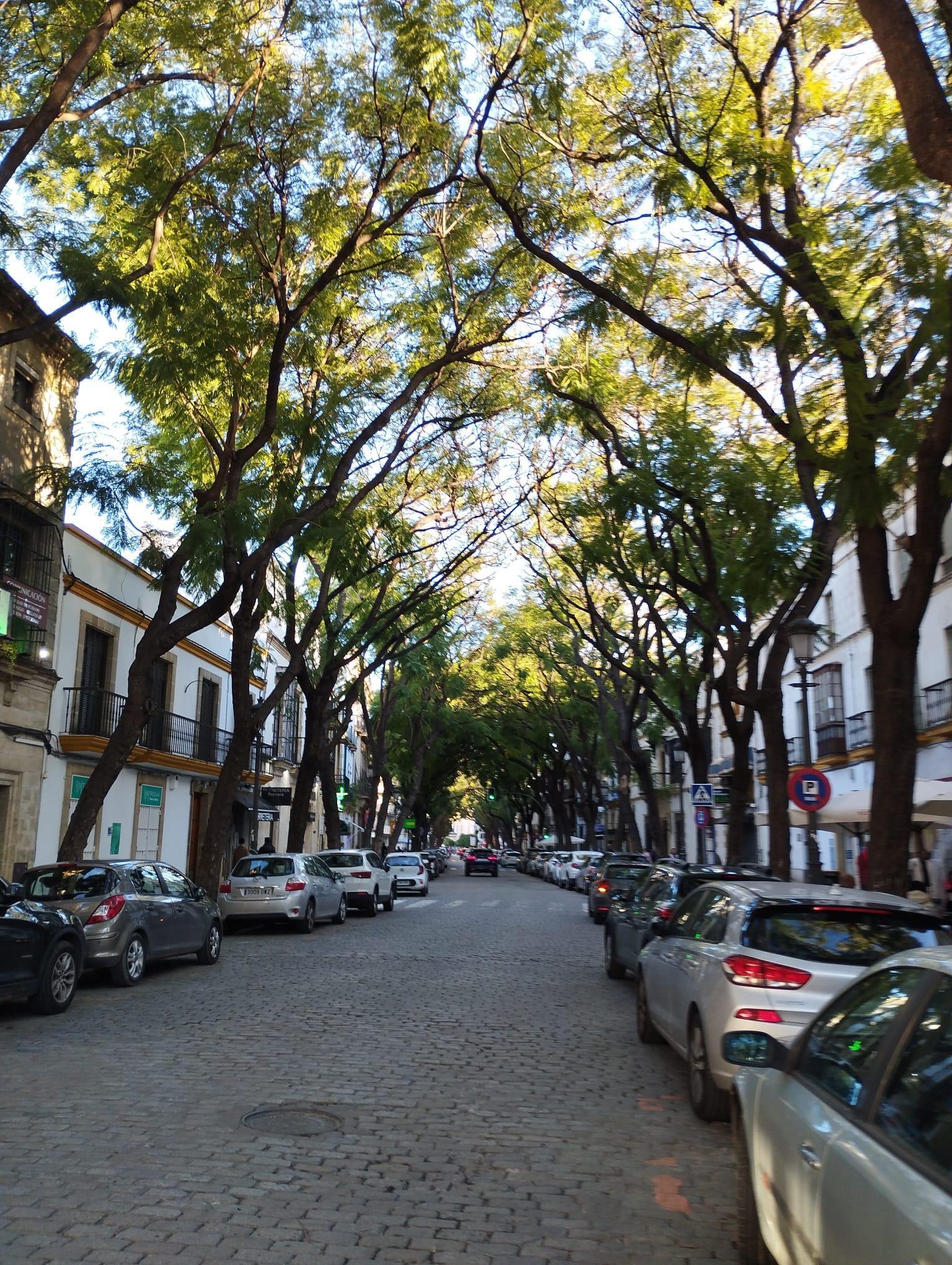 For sale of flat in Jerez de la Frontera