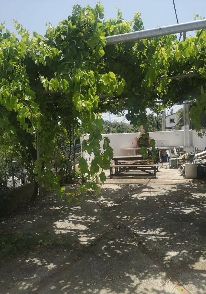 Venta de finca rústica en Vejer de la Frontera