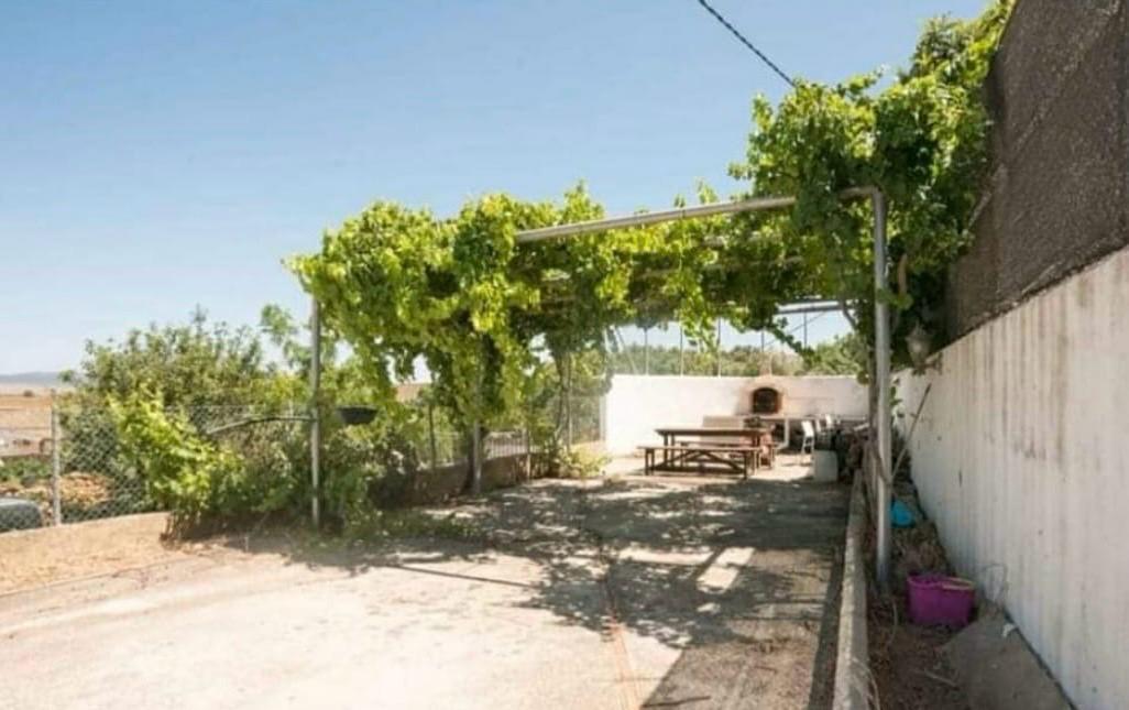 Venta de finca rústica en Vejer de la Frontera