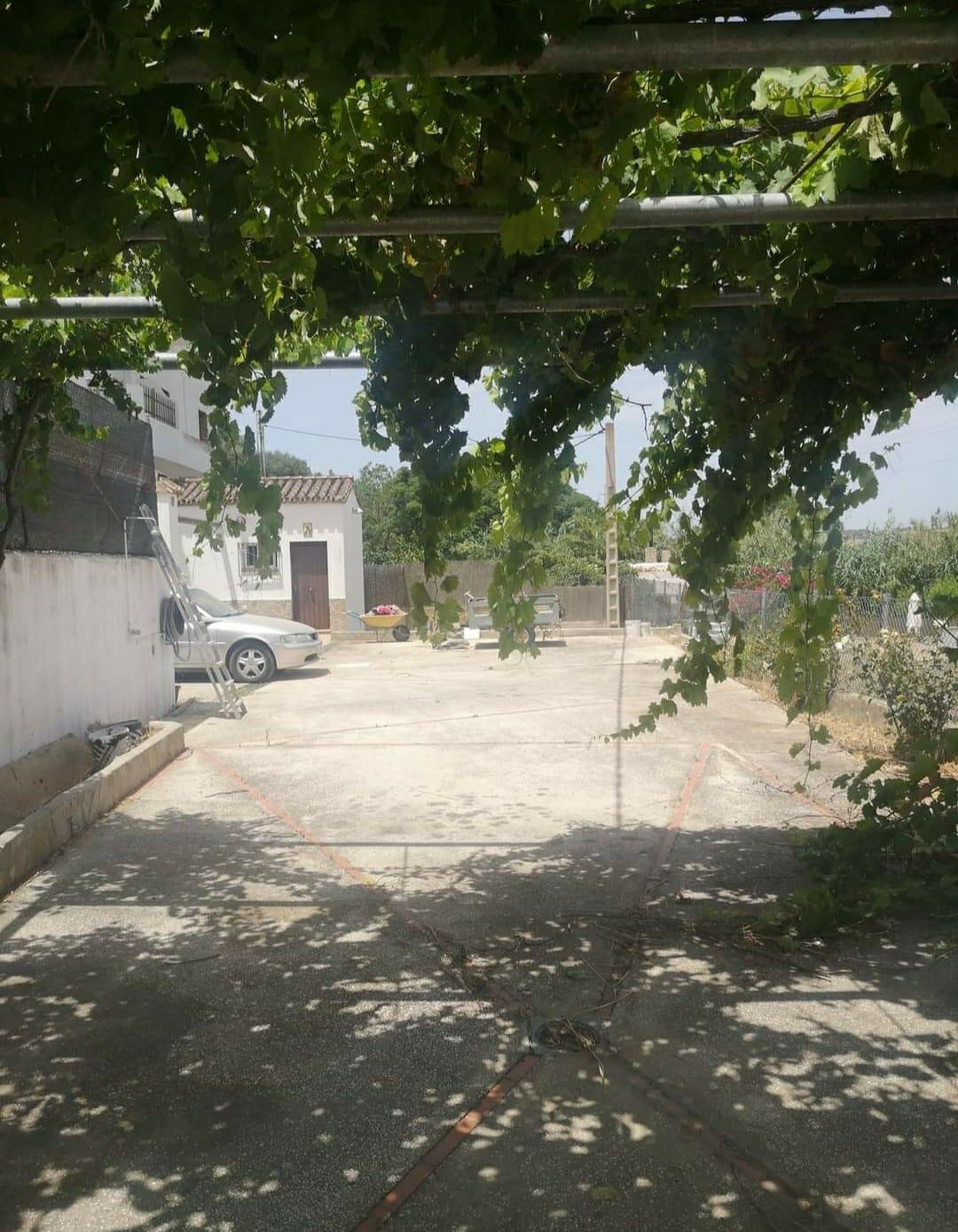 Venta de finca rústica en Vejer de la Frontera