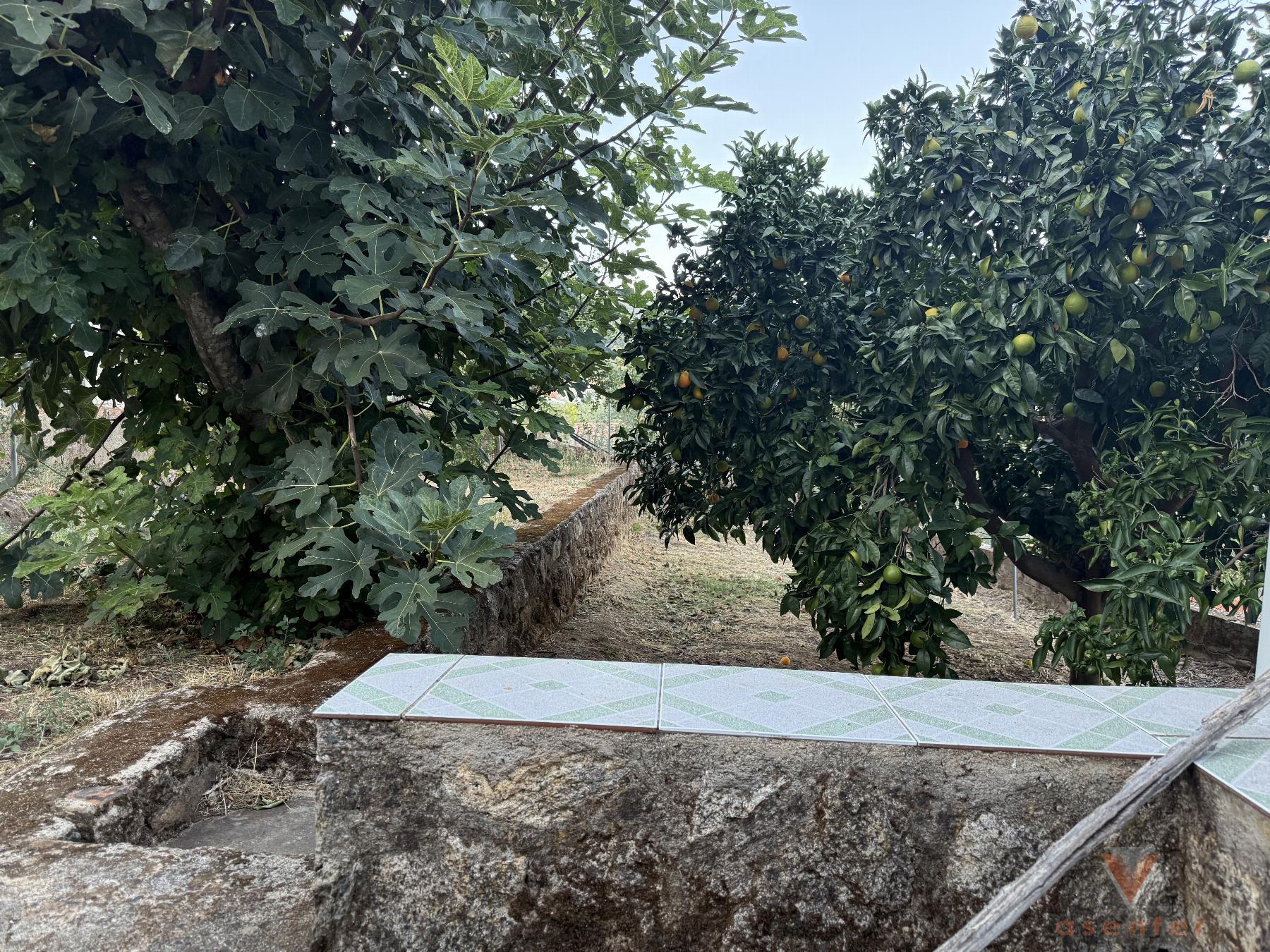 Venta de casa en Valverde del Fresno