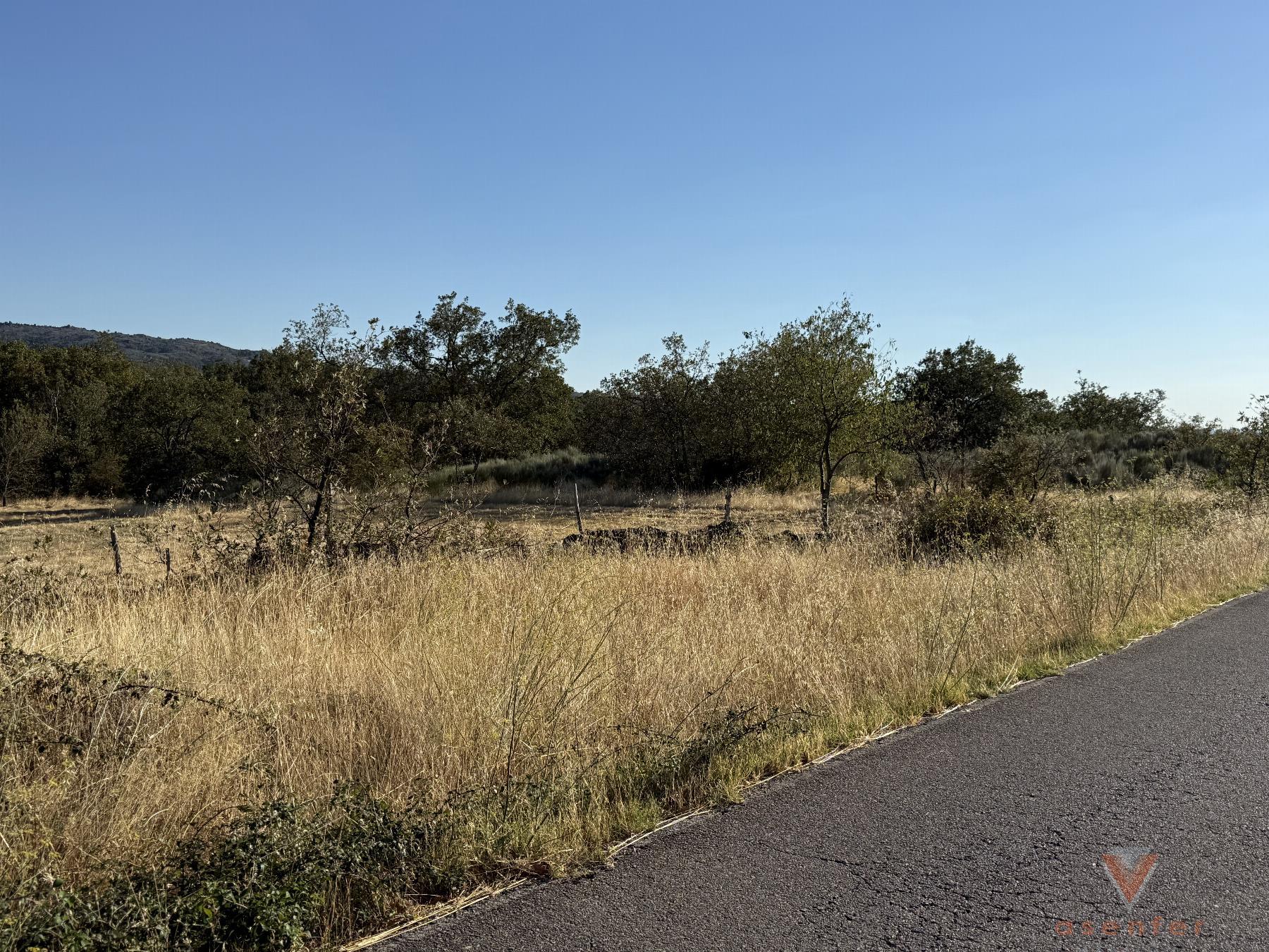 Venta de finca rústica en Eljas