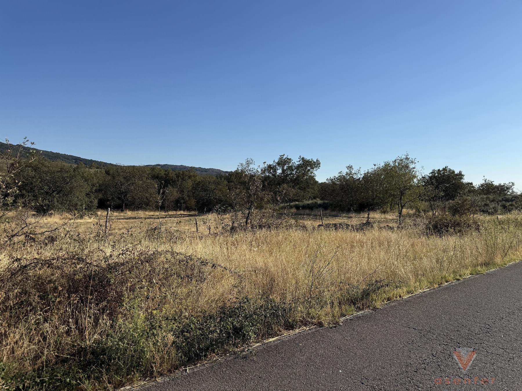 Venta de finca rústica en Eljas