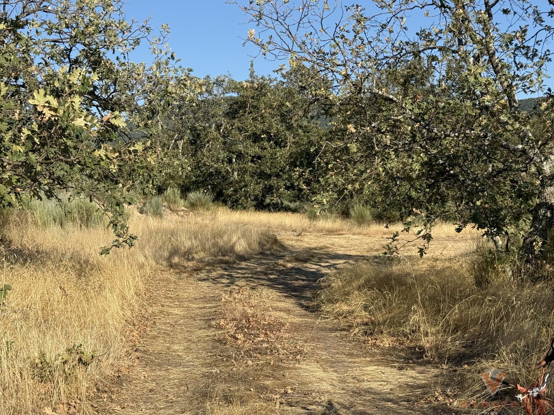 Venta de finca rústica en Eljas