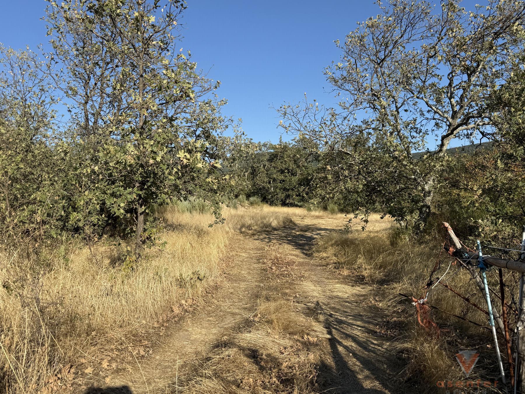 Venta de finca rústica en Eljas