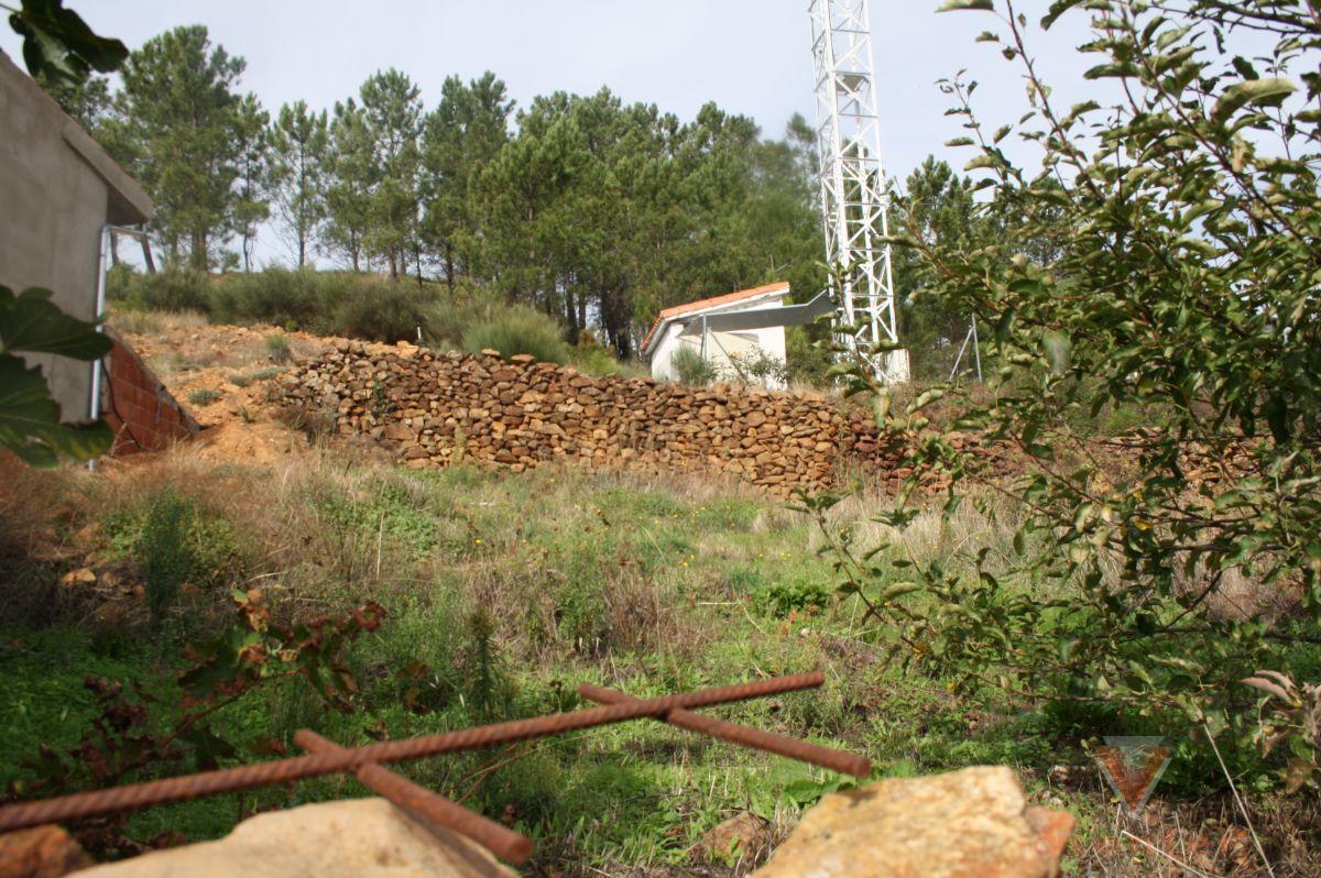 Ground